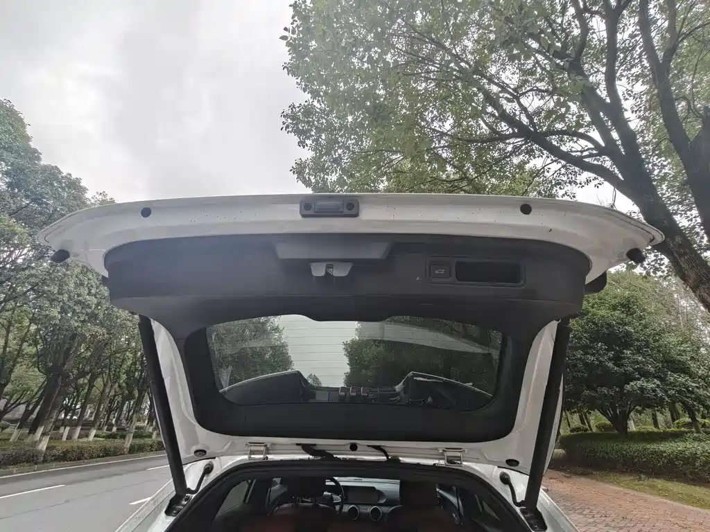 DONGFENG POPULAR T5 EVO