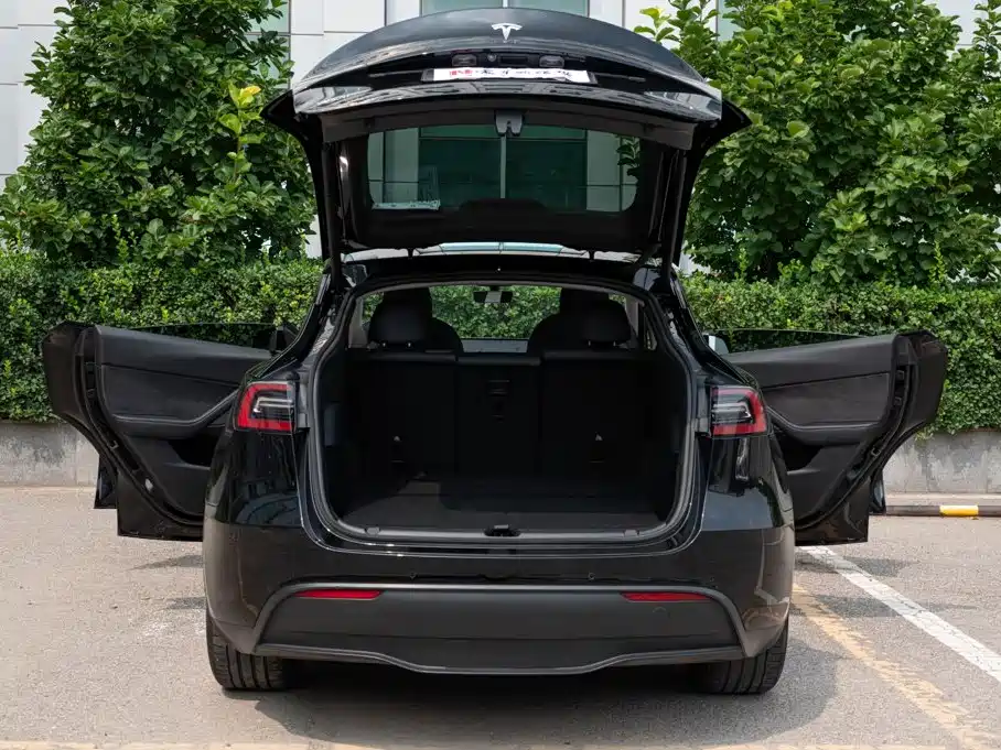 Tesla Model Y — миниатюра 10