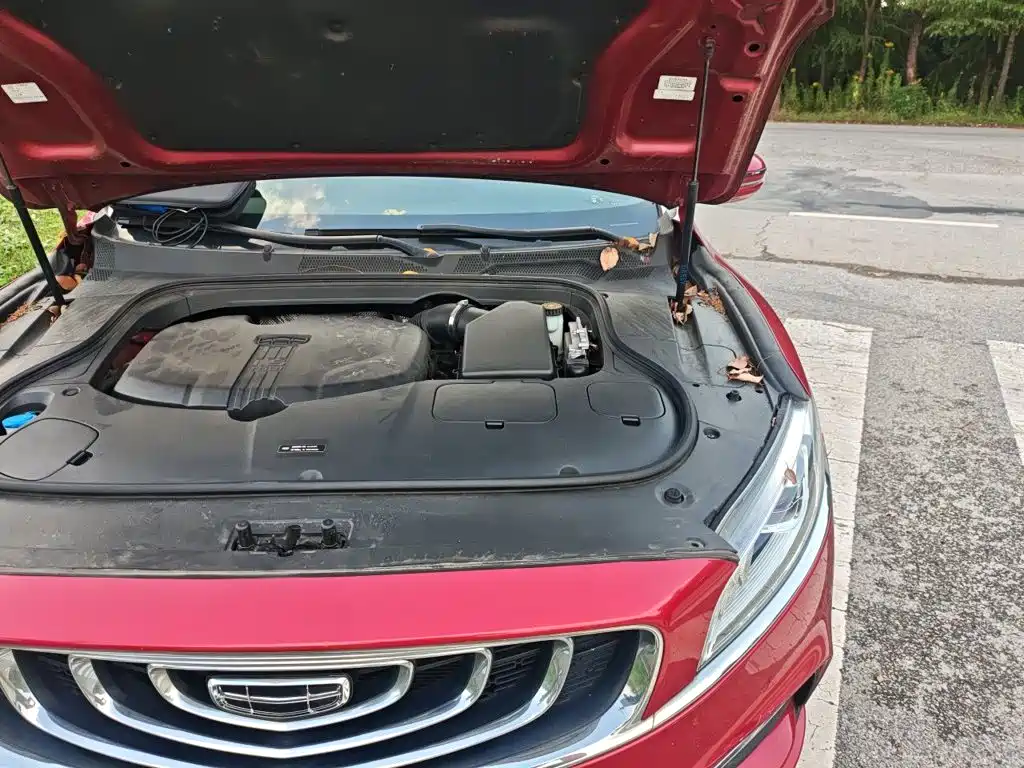 Geely Borui — миниатюра 20