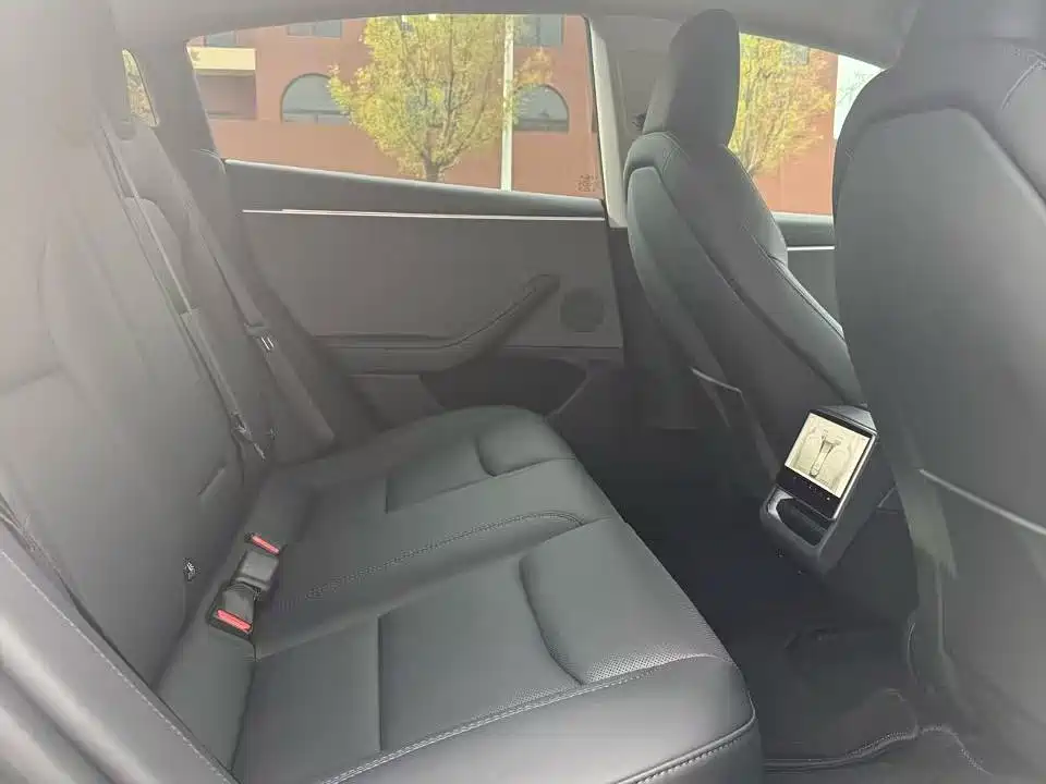 Tesla Model 3 — миниатюра 23