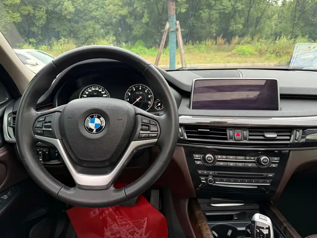 BMW X5 (Import) — миниатюра 12