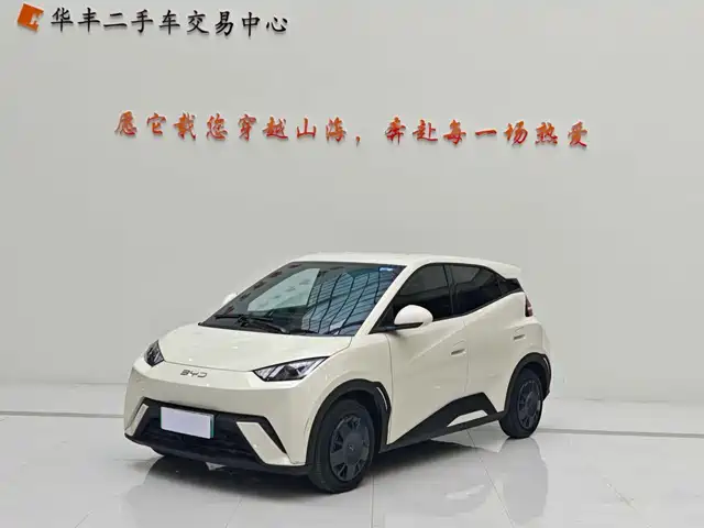 2025 BYD Seagull