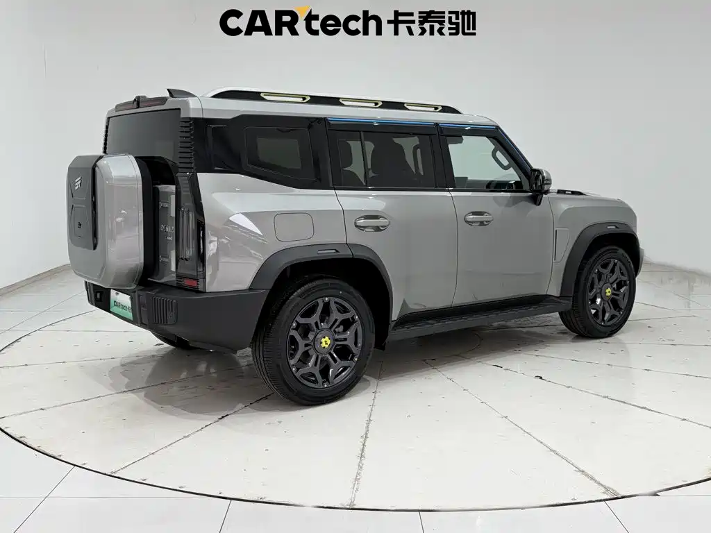 Shanhai Краткосрочный путешественник C-DM — миниатюра 5