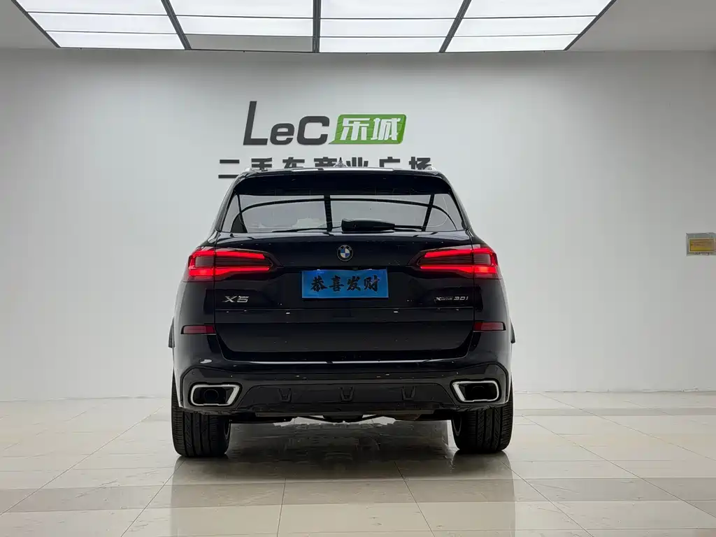BMW X5 (Import) — миниатюра 10