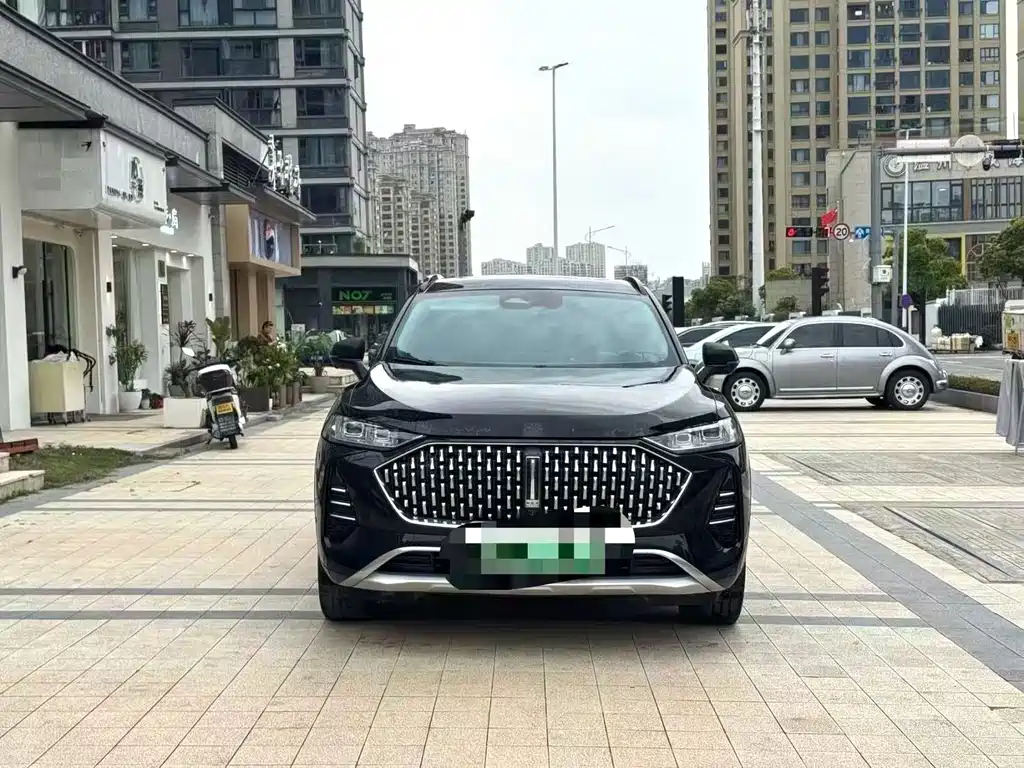 Wey Mocha New Energy 1.5T 0 Anxiety Performance Edition, фото 2