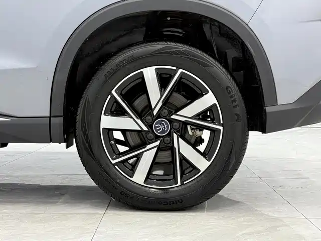 BYD Pro New Energy — миниатюра 12