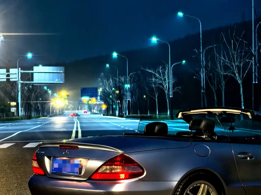 Mercedes-Benz SL 2010 SL 300