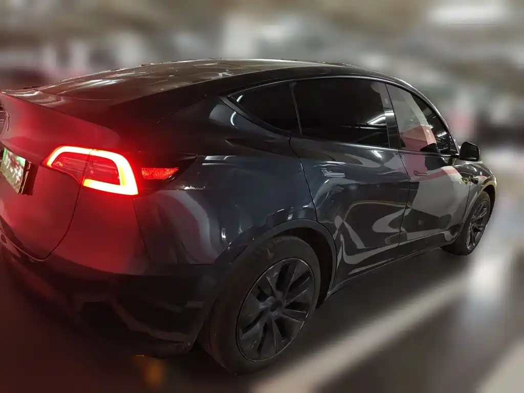 Tesla Model Y — миниатюра 4