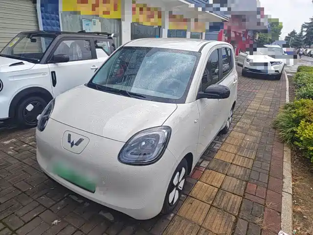 2025 Wuling Motors Hongguang Mini EV
