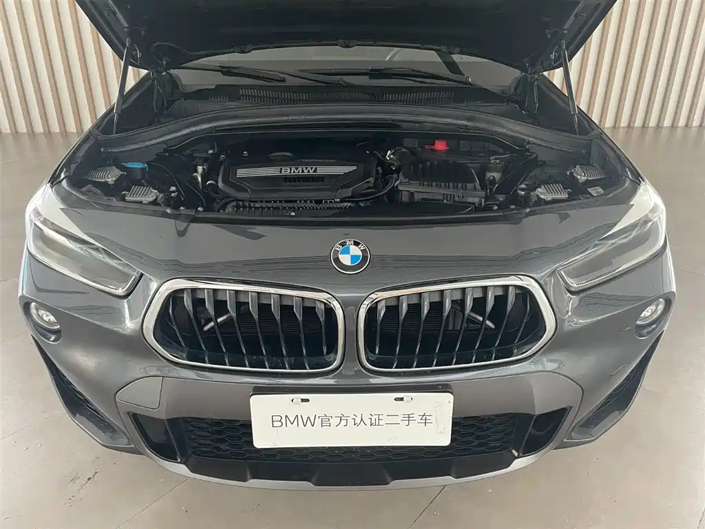 BMW X2 (Import) — миниатюра 13