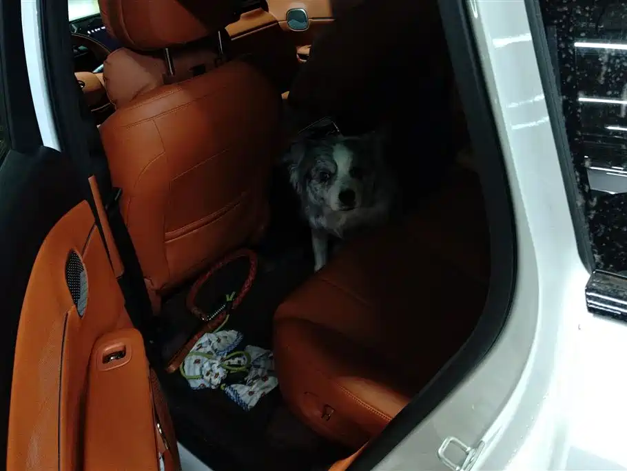 GAC TRUMPCHI YEARNING FOR S7