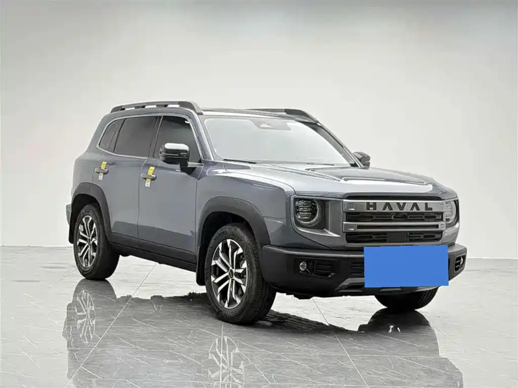 HAVAL BIG DOG
