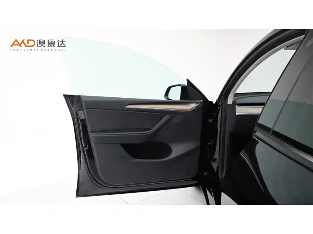 Tesla Model Y — миниатюра 10
