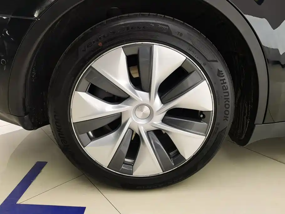 Tesla Model Y — миниатюра 6