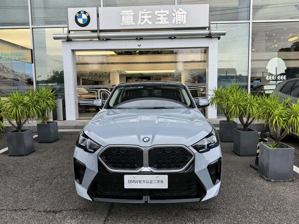 BMW X2 (Import) — миниатюра 2