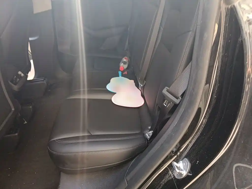 Tesla Model Y — миниатюра 13