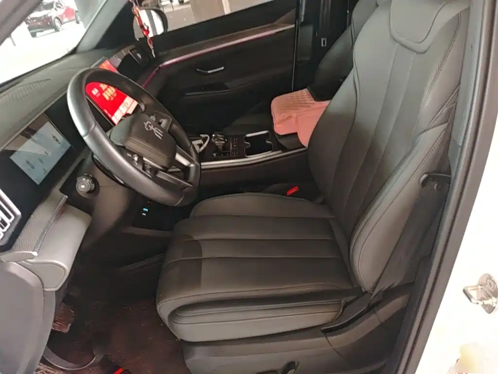 BYD Pro New Energy — миниатюра 15