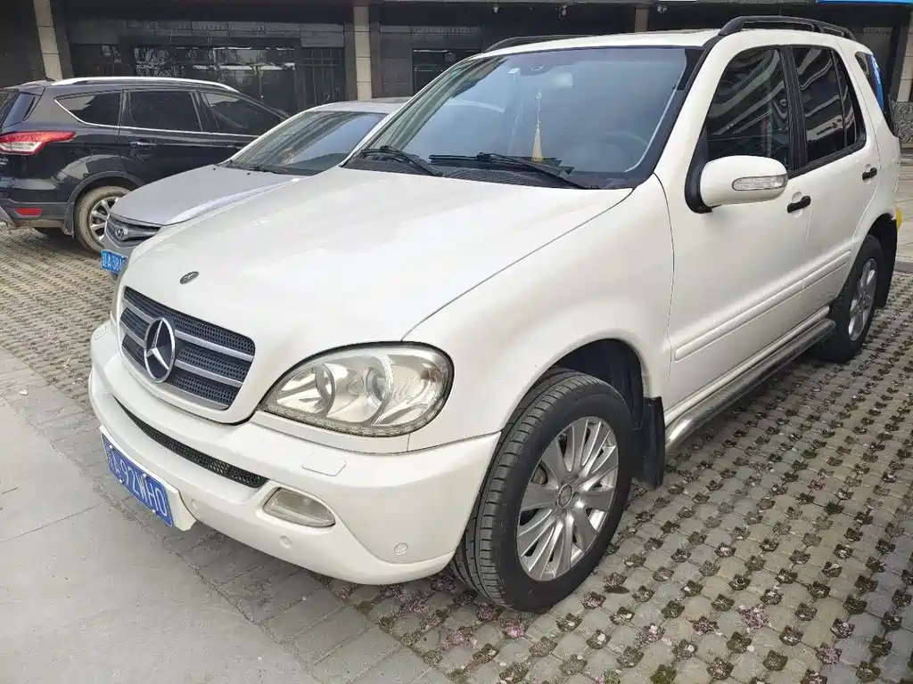 Mercedes-Benz M-Class 2010