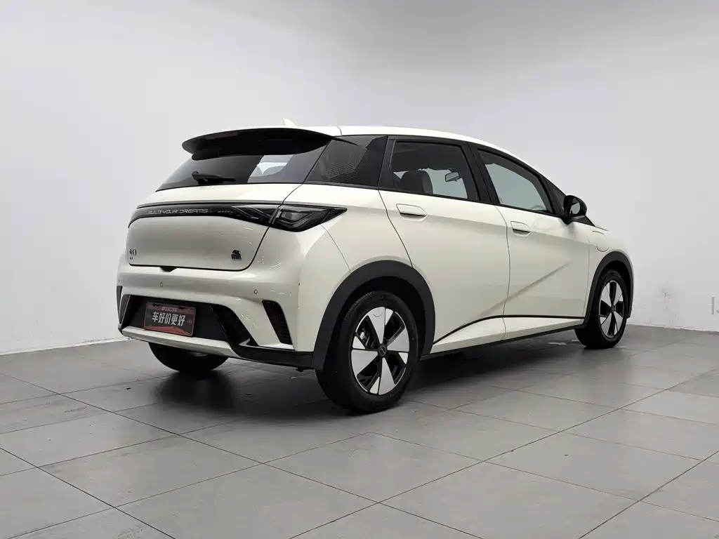 BYD Dolphin — миниатюра 2