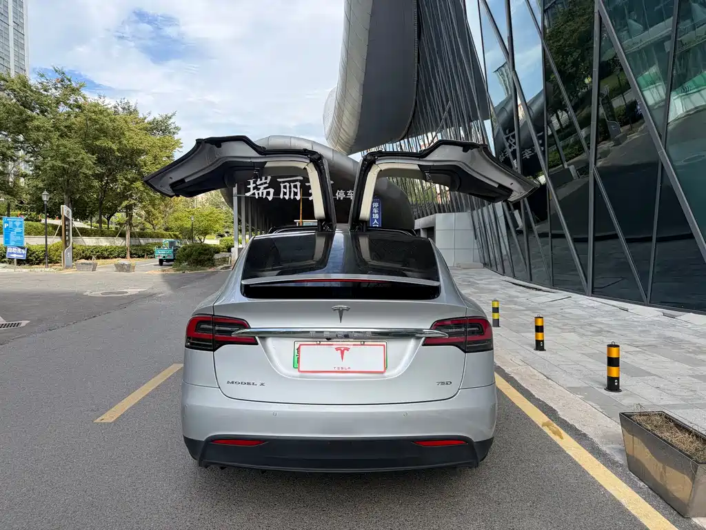 Tesla Model X — миниатюра 5
