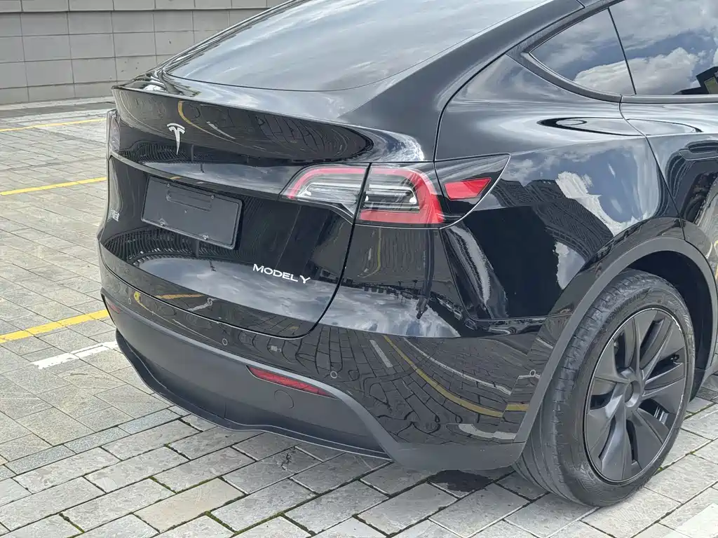 Tesla Model Y — миниатюра 9