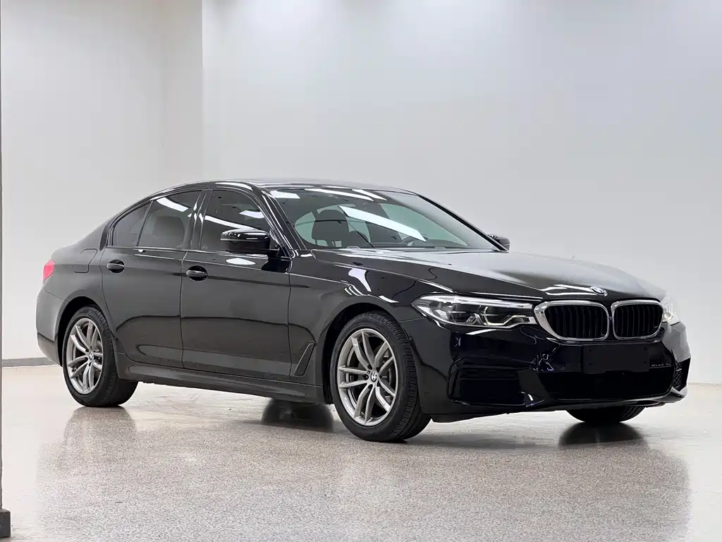 BMW 5 Series (Import) — миниатюра 3