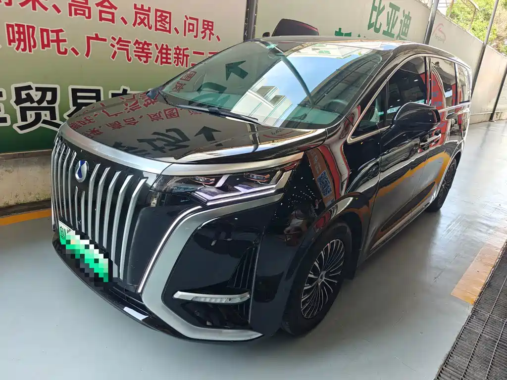 Denza Denza D9