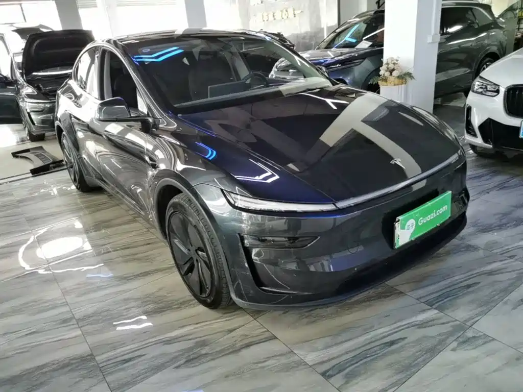 Tesla Model Y — миниатюра 4