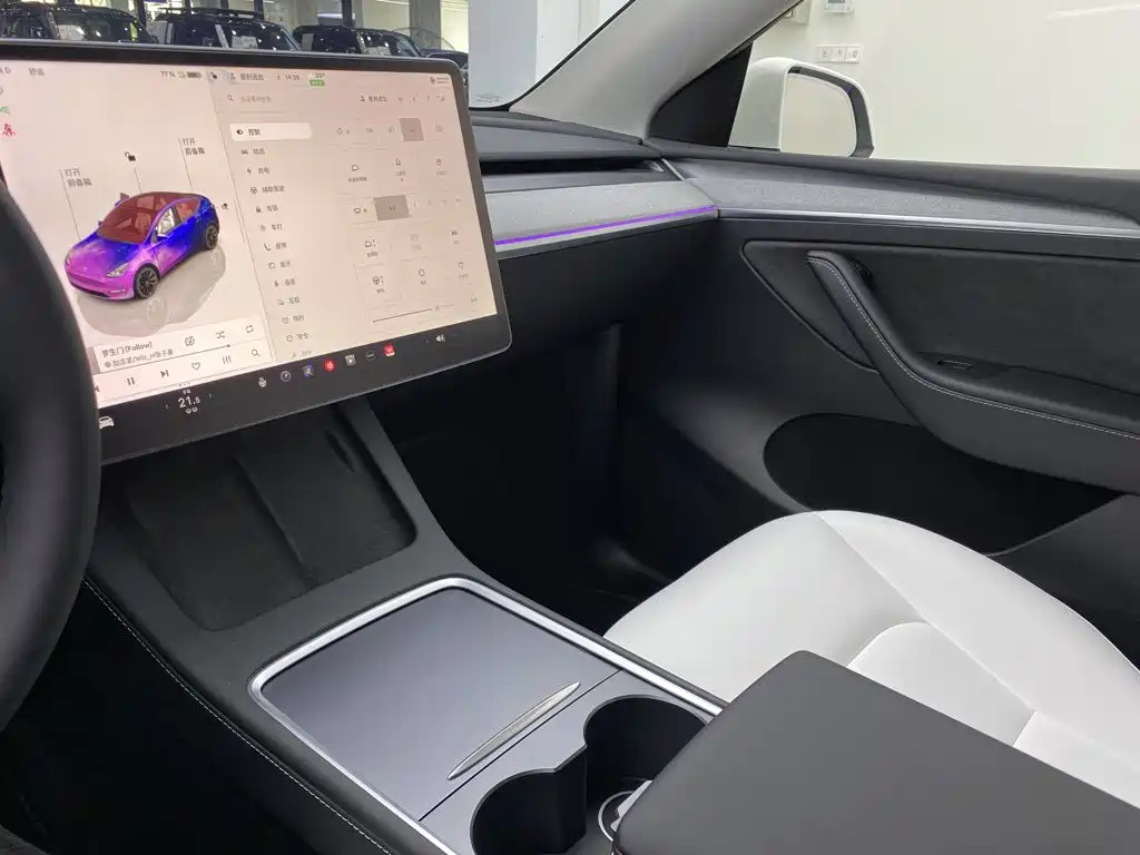 Tesla Model Y — миниатюра 28