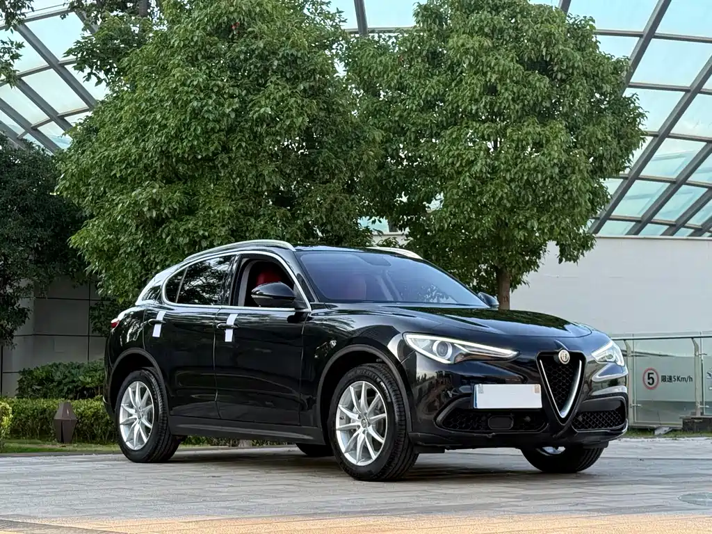 Alfa Romeo Stelvio 2.0T 200HP Luxury Edition, фото 3