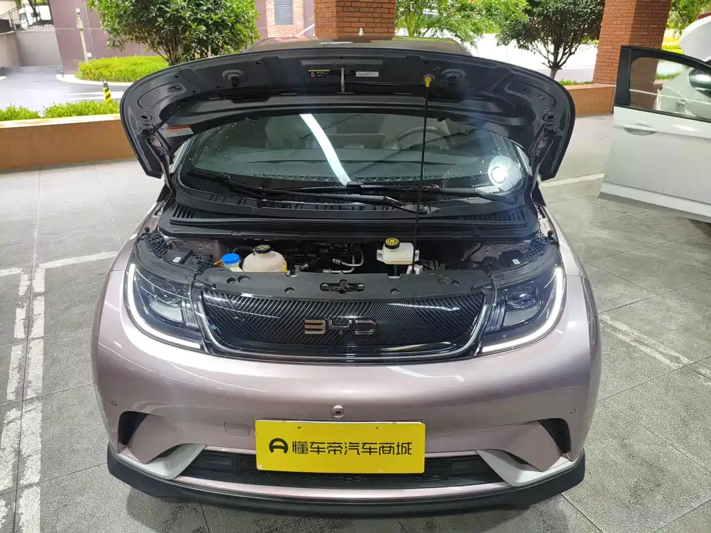 BYD Dolphin — миниатюра 19