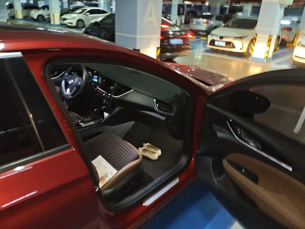 Buick Regal — миниатюра 19