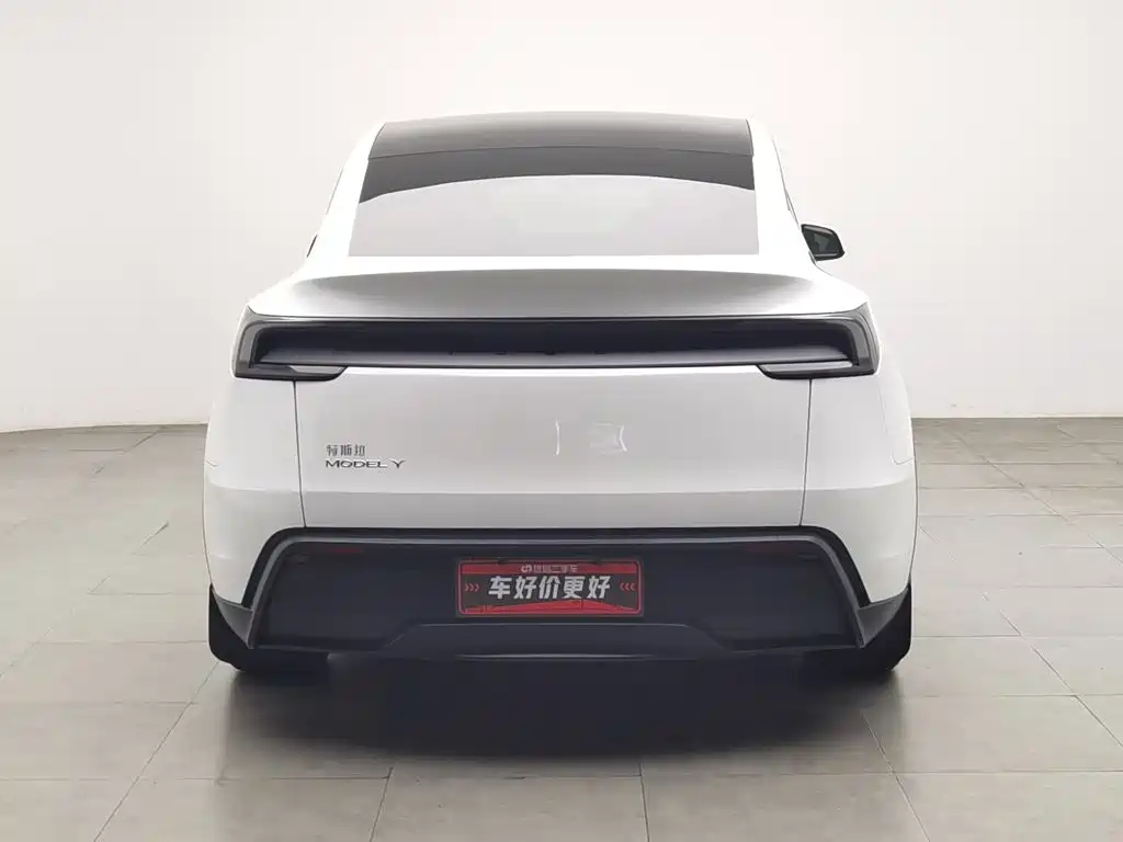 Tesla Model Y — миниатюра 4