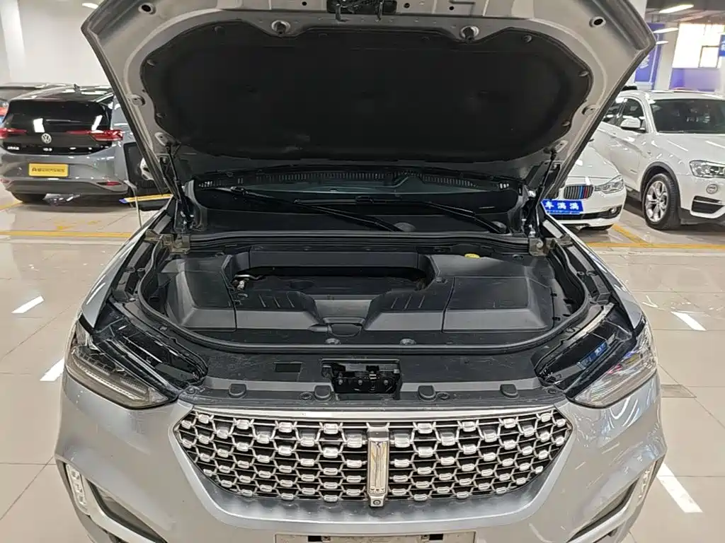Wey Wey VV6 — миниатюра 20