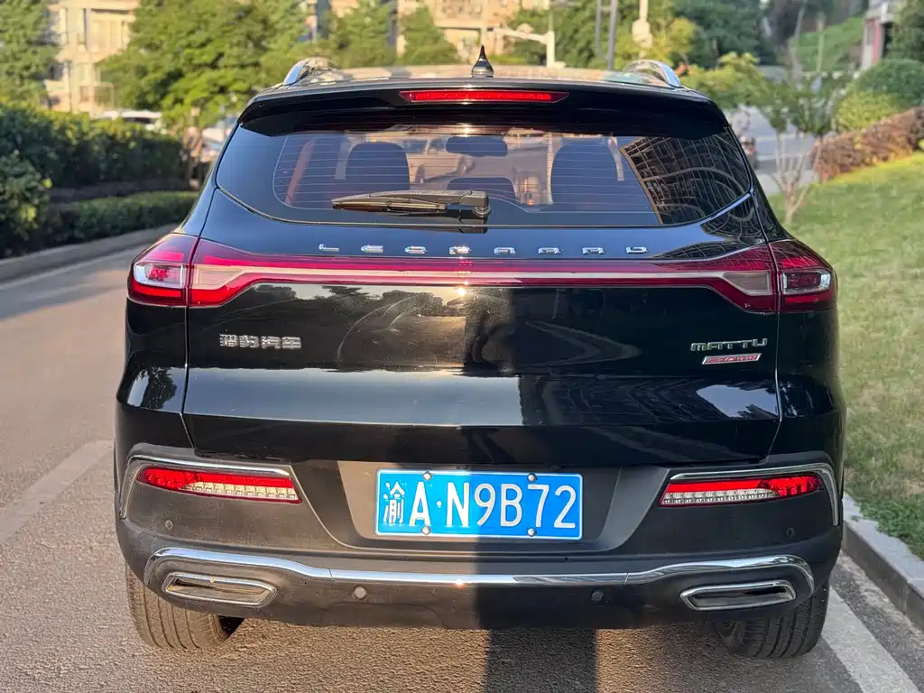 Leopaard Mattu — миниатюра 11