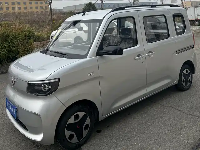 2025 Wuling Motors Sunshine