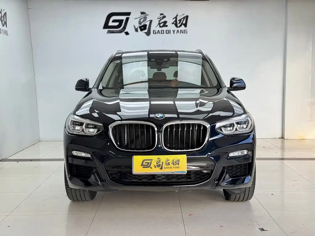 BMW X3 — миниатюра 2