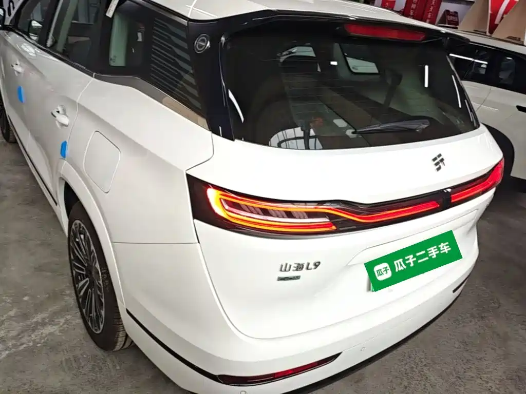 Shanhai Shanhai L9 — миниатюра 6