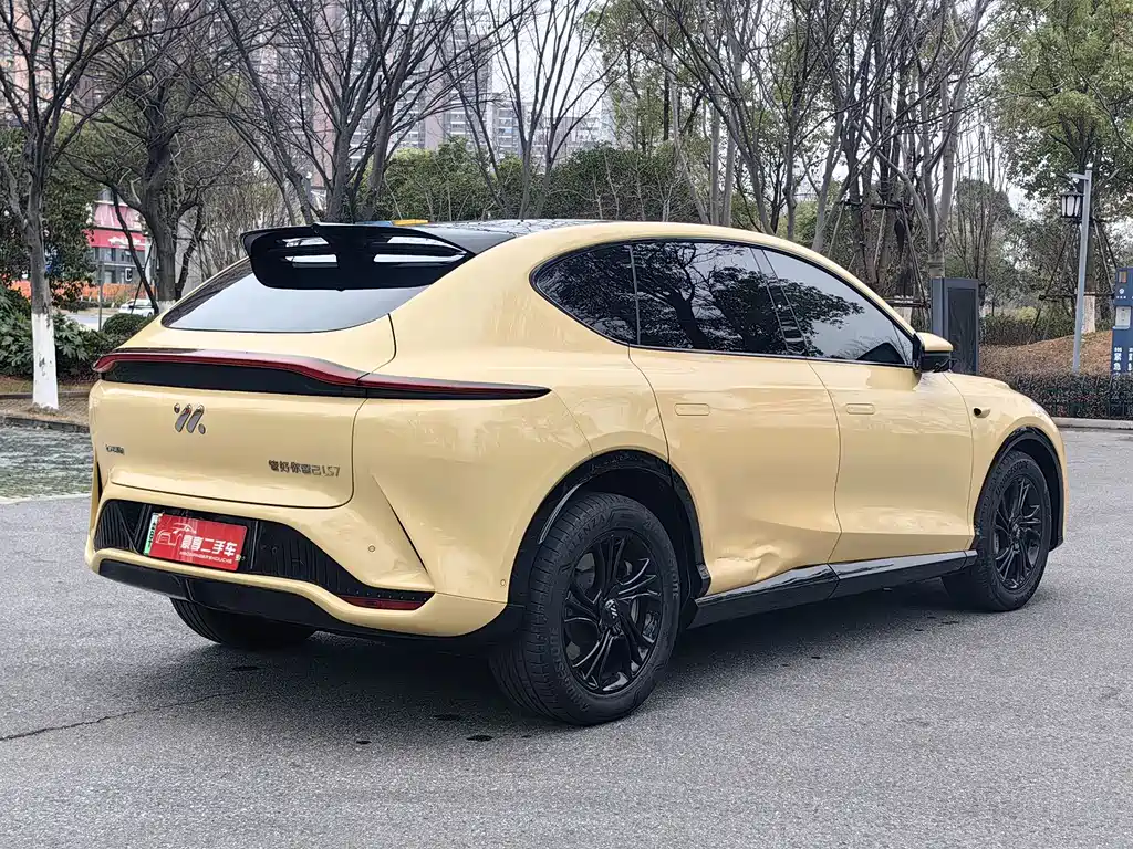 ZHIJI AUTOMOBILE ZHIJI LS7