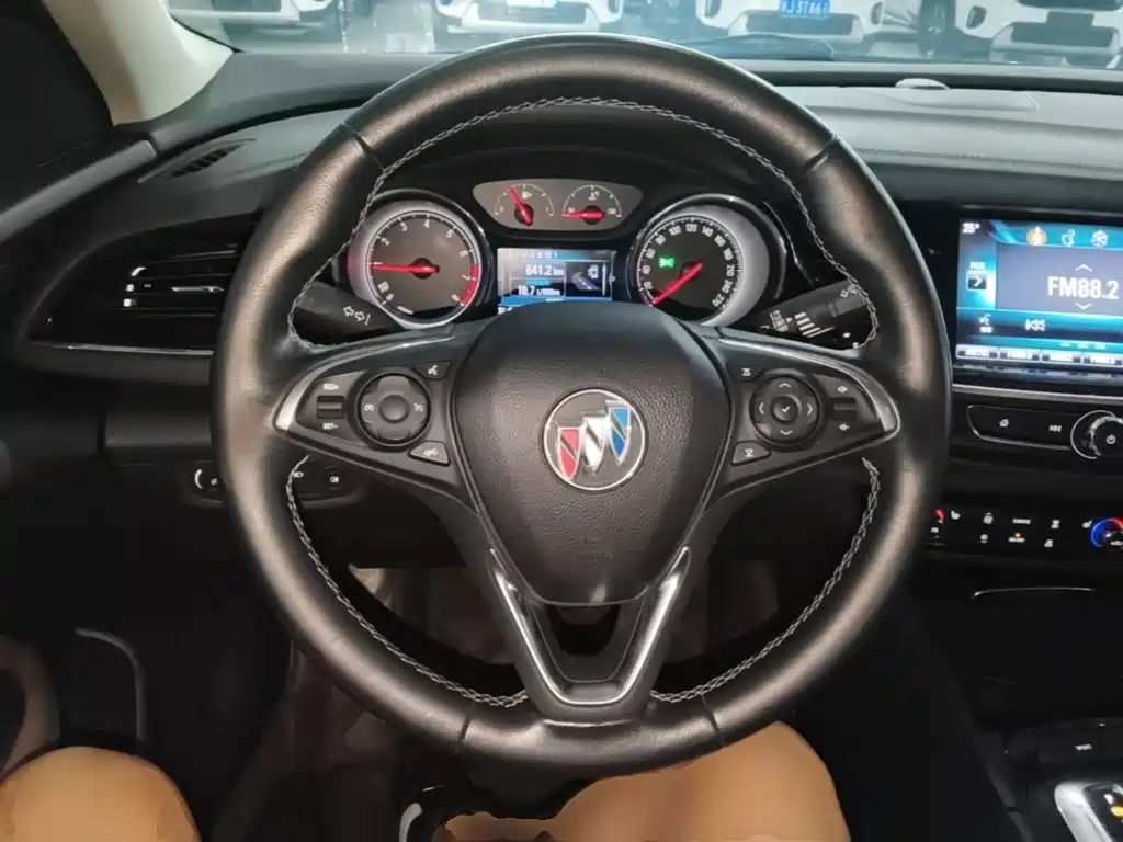 Buick Regal — миниатюра 11