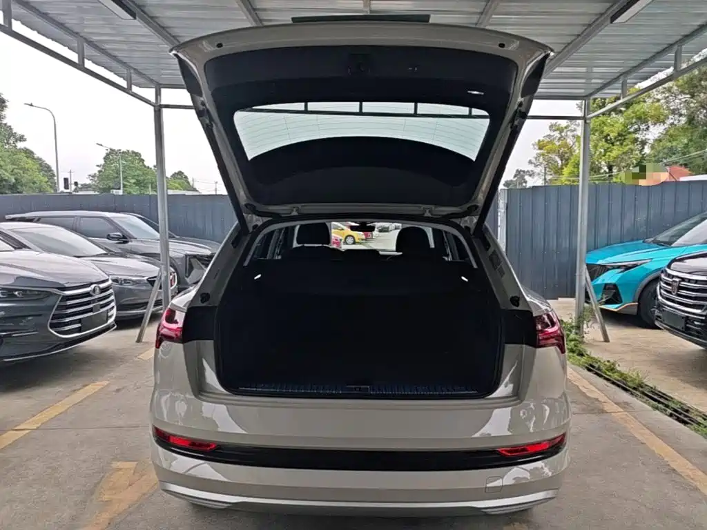 Audi e-tron (Import) — миниатюра 19