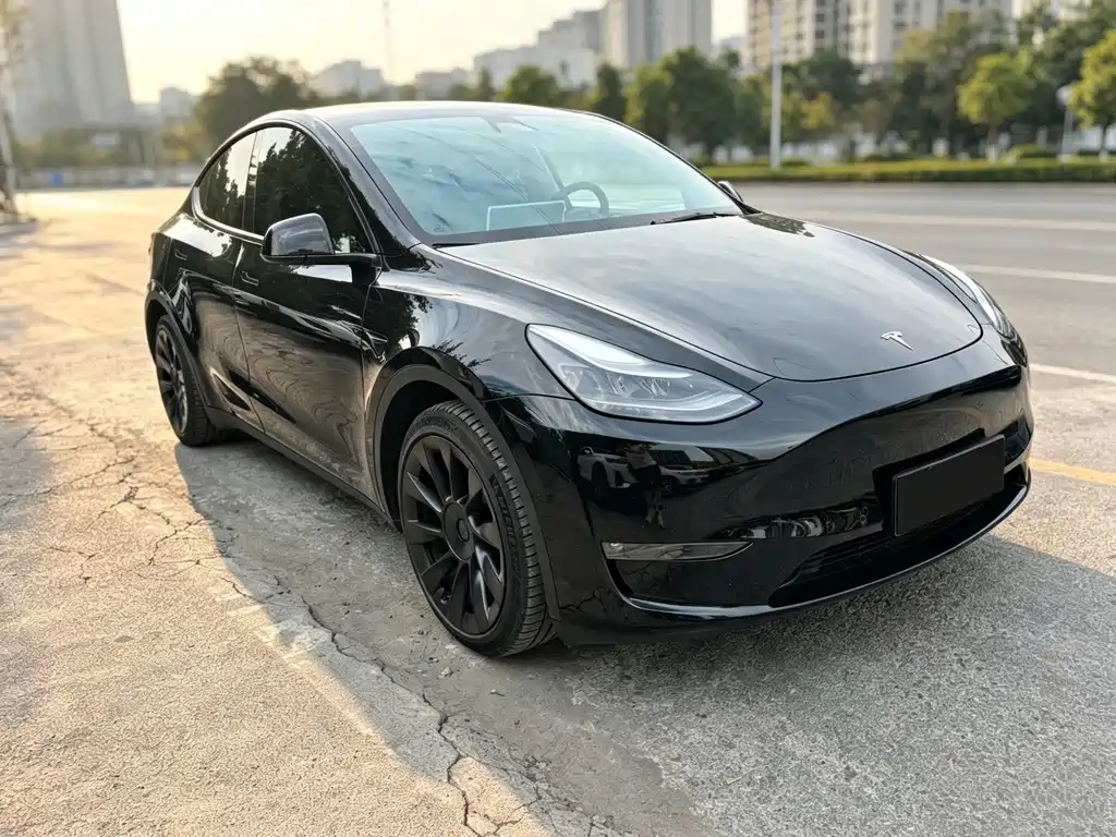 Tesla Model Y — миниатюра 3