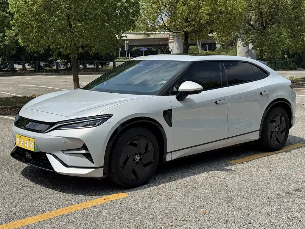 BYD L EV