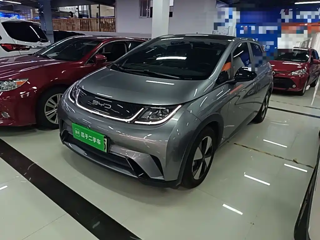BYD Dolphin