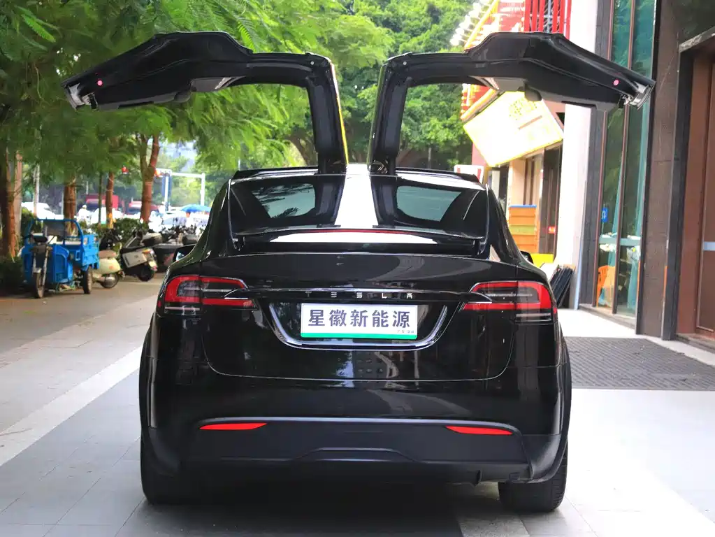 Tesla Model X — миниатюра 23