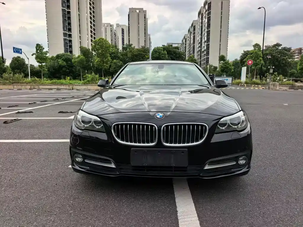 BMW 5 Series — миниатюра 2