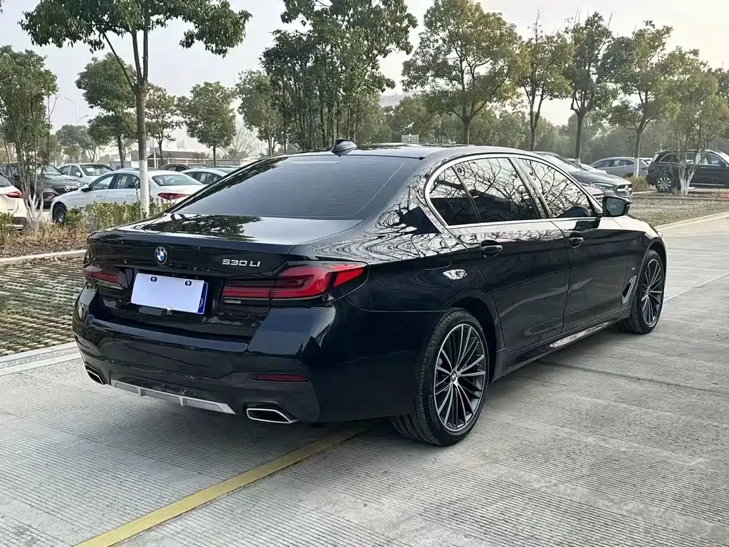BMW 5 Series — миниатюра 9