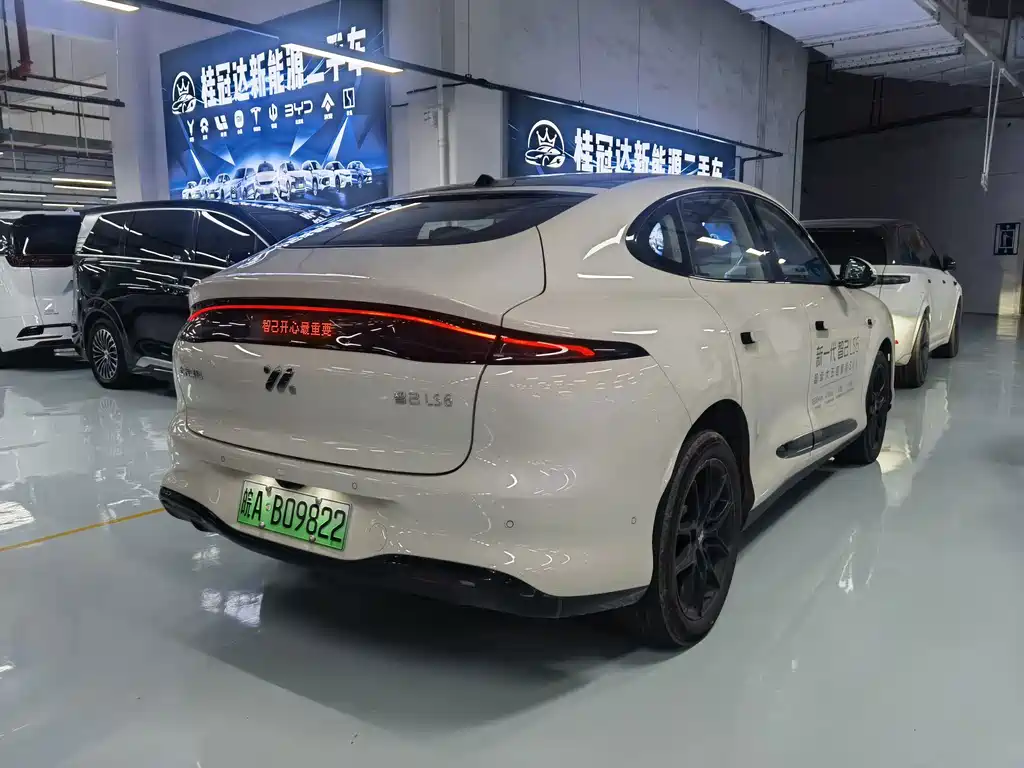 IM IM LS6 — миниатюра 9