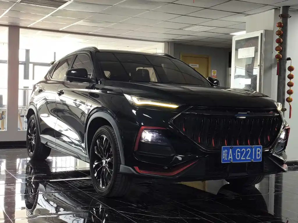Oshan Oushang X5 — миниатюра 3