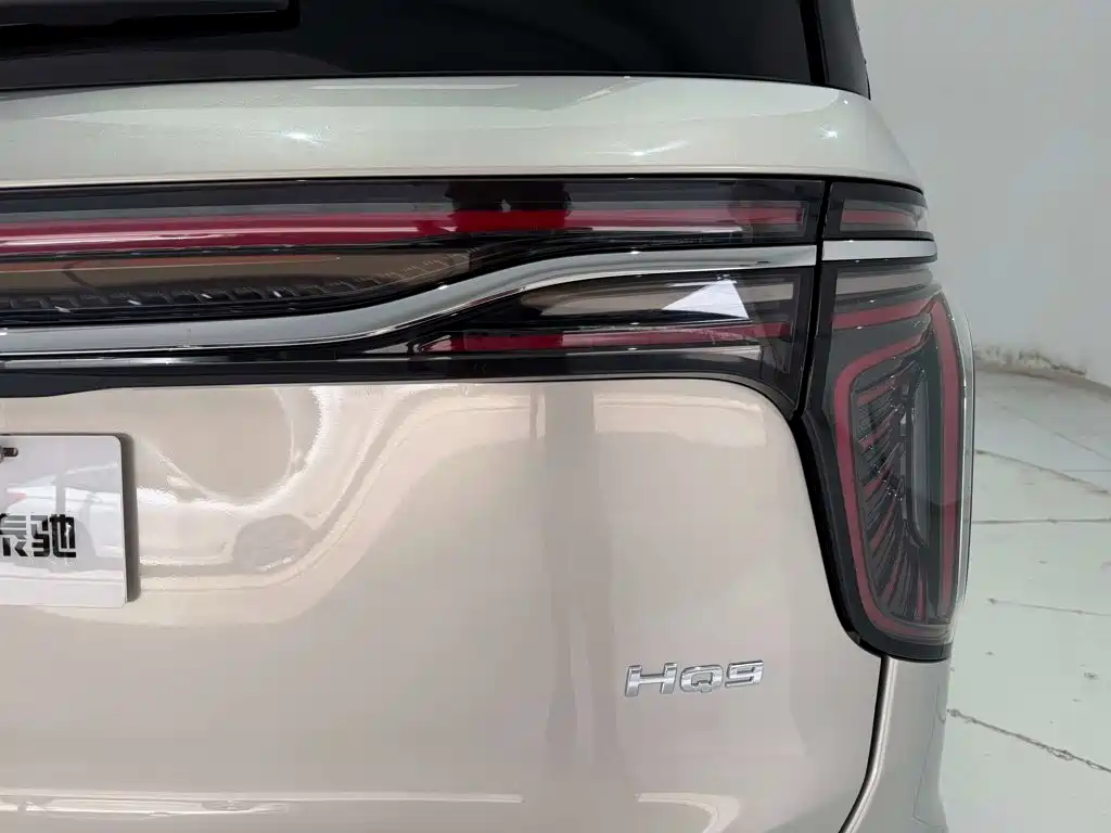 Hongqi Hongqi HQ9 — миниатюра 10